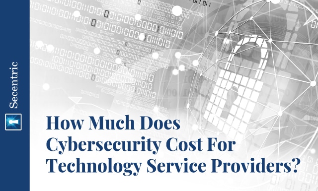 How Much Does Cybersecurity Cost For Technology Service Providers?